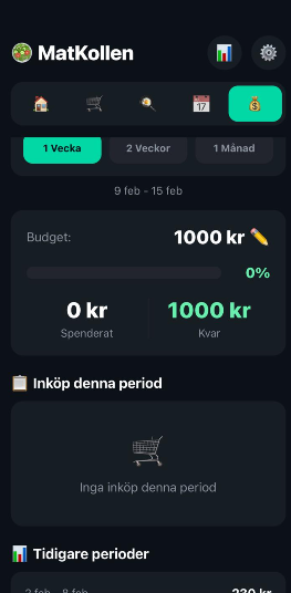 EZ-Checker App Screenshot